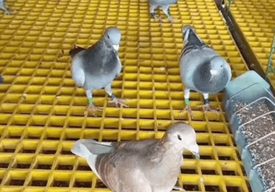 1657345014635097626.png 微信图片_20220709114745_new.png